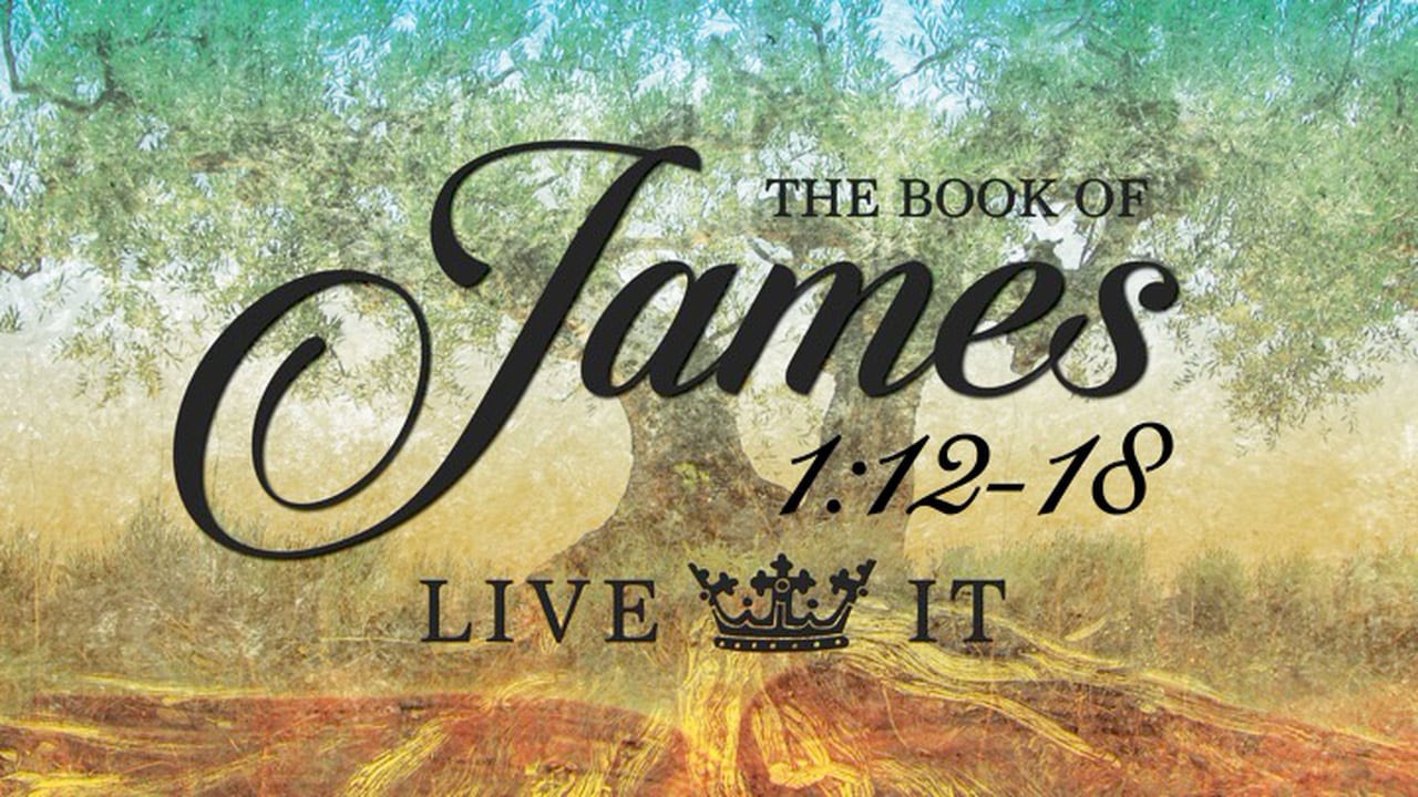 ข้อคิดในมิสซา วันอังคารที่ 13 กุมภาพันธ์ ค.ศ.2024